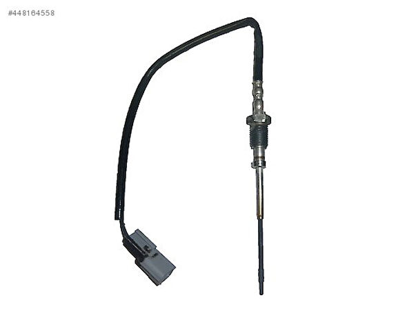 Renault Mais Sensör, Dedektör