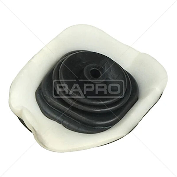 Rapro Vites Körüğü