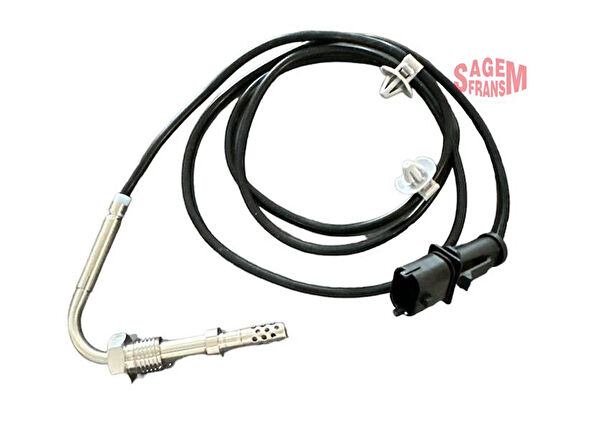 Sagem Sensör, Dedektör