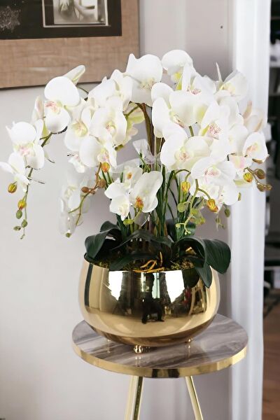 Yaren Style Vazo, Saksı