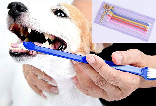 Diyar-ı Fırsat Köpek Sağlık & Bakım Malzemeleri