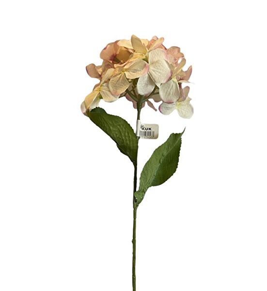 Kuk Yapay Çiçek, Meyve