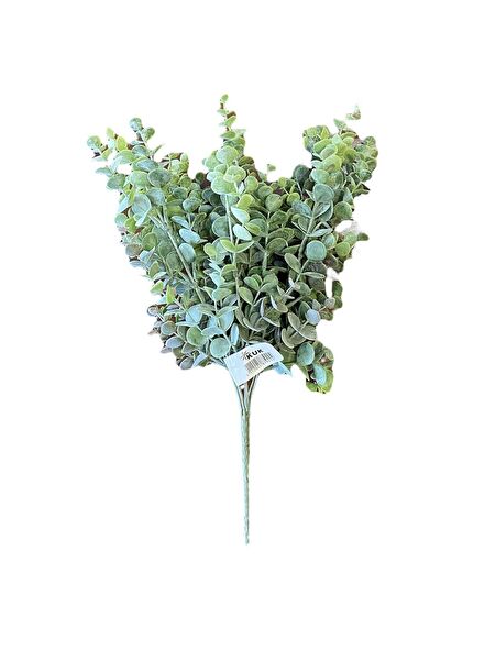 Kuk Yapay Çiçek, Meyve