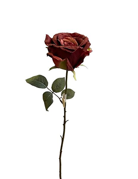 Kuk Yapay Çiçek, Meyve