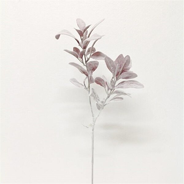 Kuk Yapay Çiçek, Meyve