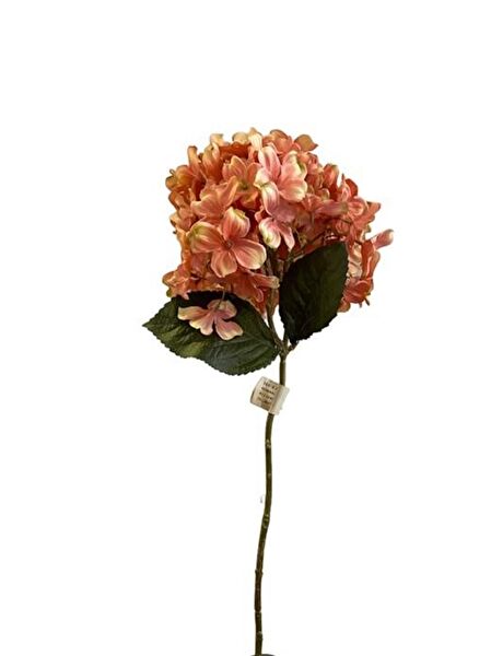 Kuk Yapay Çiçek, Meyve