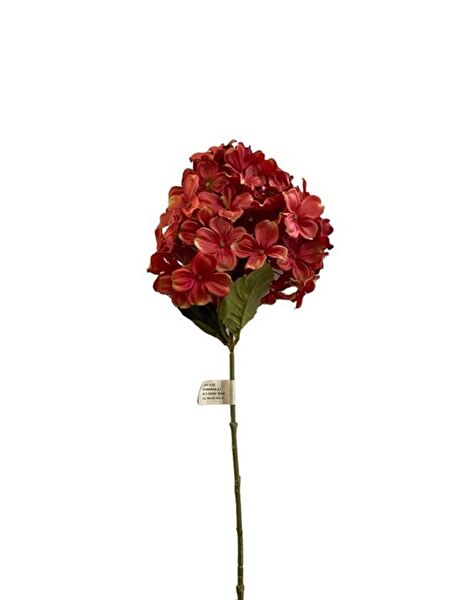 Kuk Yapay Çiçek, Meyve