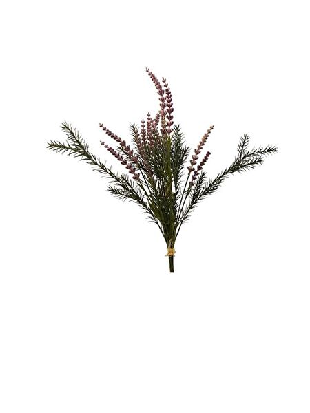 Kuk Yapay Çiçek, Meyve