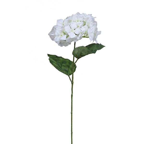 Kuk Yapay Çiçek, Meyve