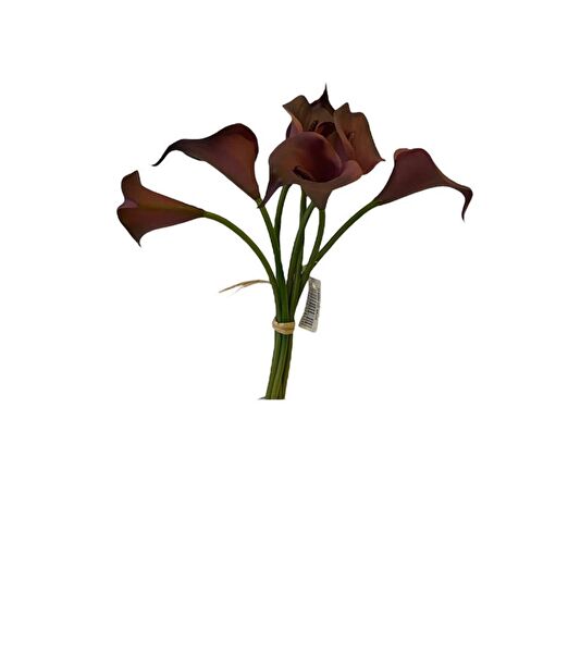 Kuk Yapay Çiçek, Meyve