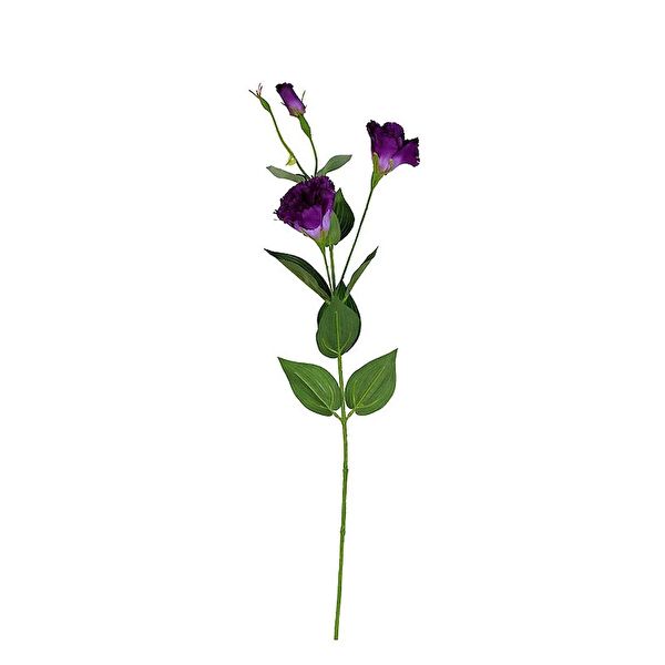 Kuk Yapay Çiçek, Meyve