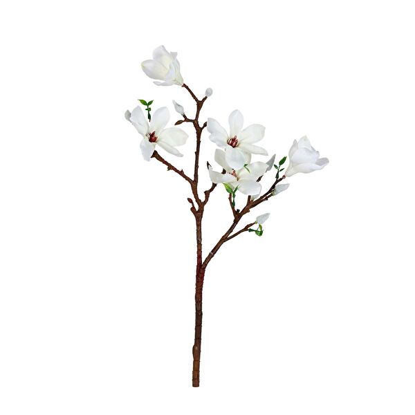 Kuk Yapay Çiçek, Meyve