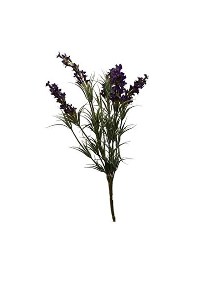 Kuk Yapay Çiçek, Meyve