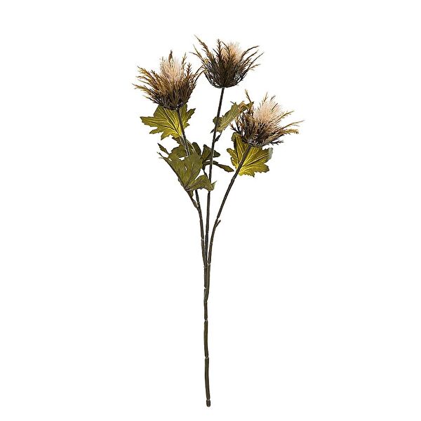 Kuk Yapay Çiçek, Meyve