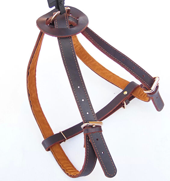 Nunbell Köpek Tasmaları