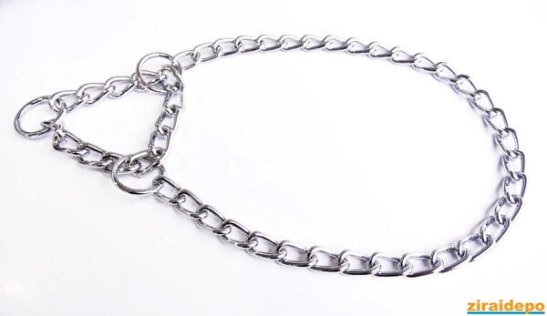 Nunbell Köpek Tasmaları