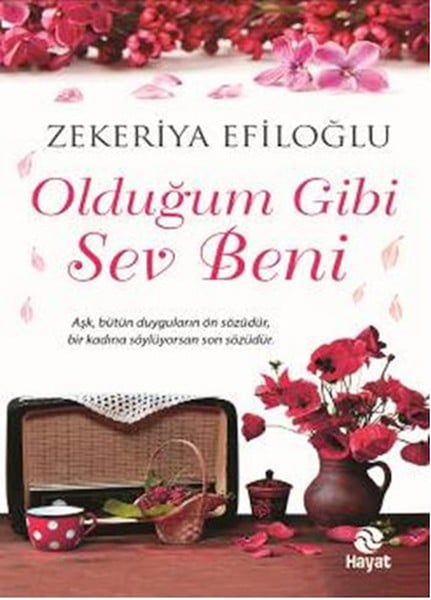 Hayat Yayınevi Roman Kitapları