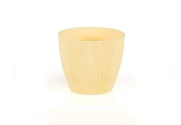 Omnipazar Vazo, Saksı