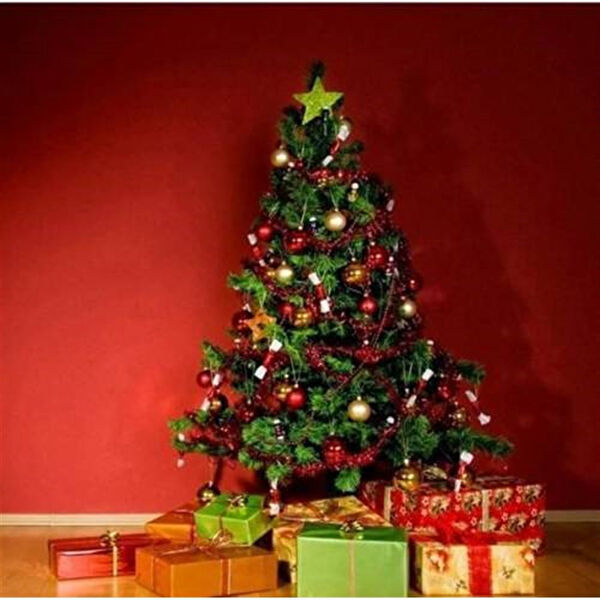 Begin Power Yılbaşı Ağacı