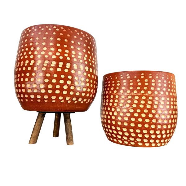 Bitki Tasarımı Vazo, Saksı