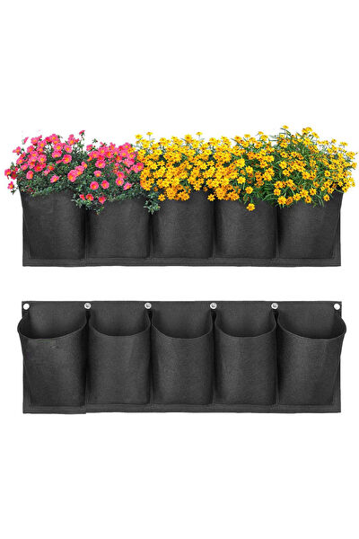 Bundera Teraryum, Teraryum Aksesuarları