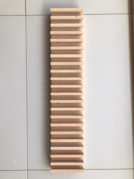 Eko Akrobat, Basamaklı Merdiven