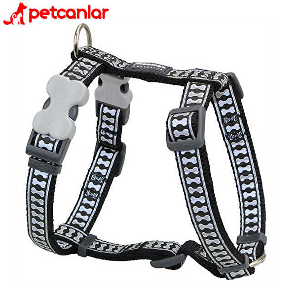 Red Dingo Köpek Tasmaları