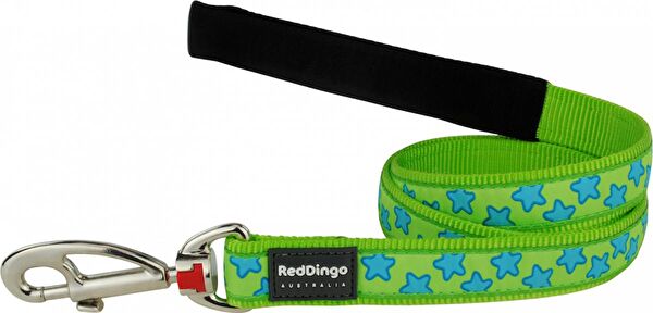 REDDİNGO Köpek Tasmaları