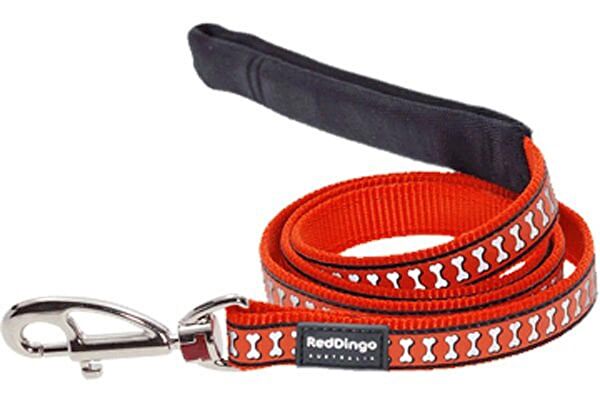 REDDİNGO Köpek Tasmaları