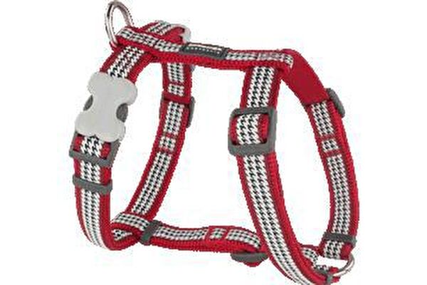 REDDİNGO Köpek Tasmaları