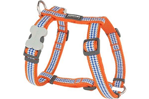 REDDİNGO Köpek Tasmaları