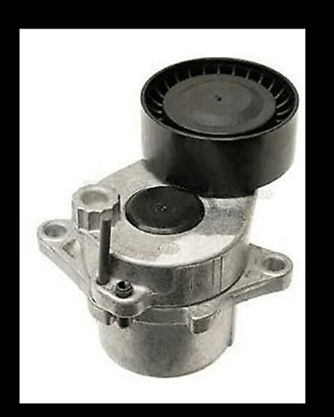 Wender Motor Beşiği