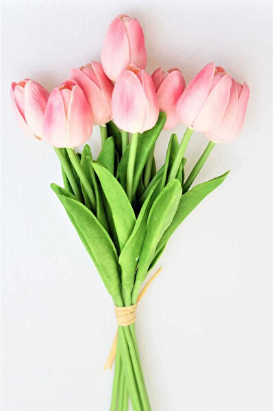 Vizyon Çiçek Yapay Çiçek, Meyve