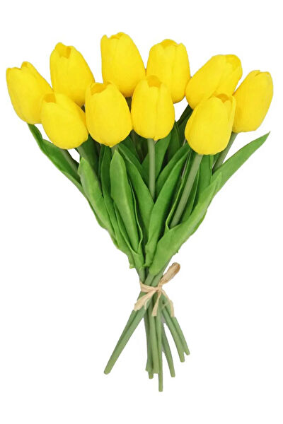 Vizyon Çiçek Yapay Çiçek, Meyve