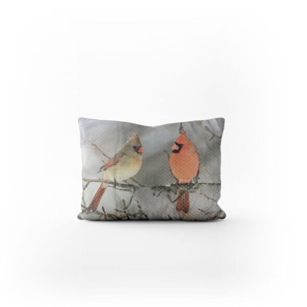 Tedz Collection Yastık Kılıfı