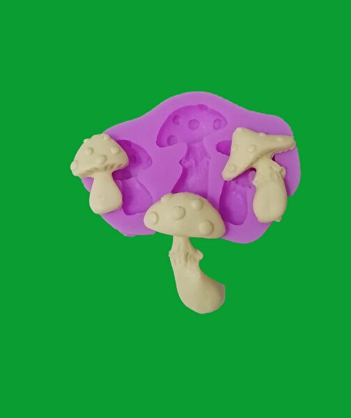 AnkaHobiMarket Pasta, Kek Kalıbı