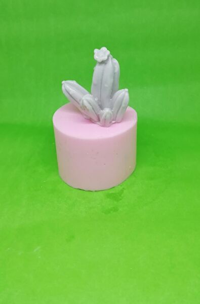 AnkaHobiMarket Pasta, Kek Kalıbı