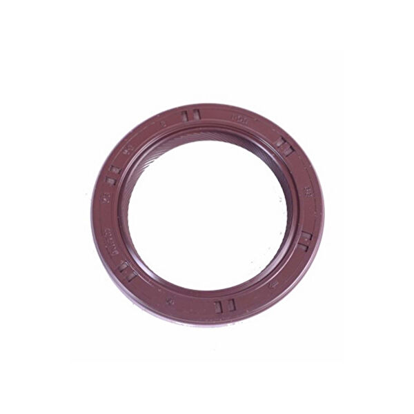 Gm Yağ Pompa Zinciri