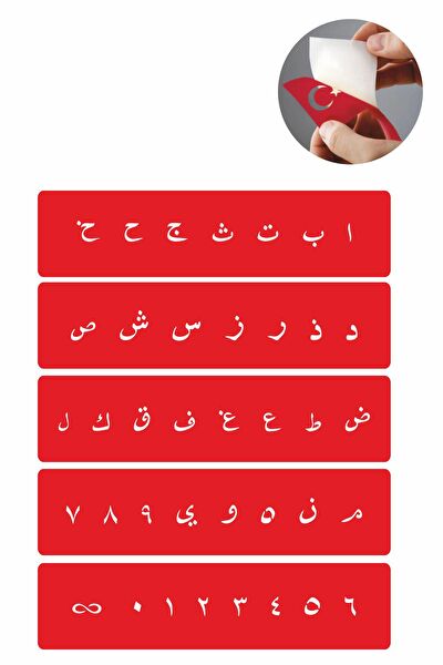 Endeks Ticaret Geçici Dövme, Şablonları