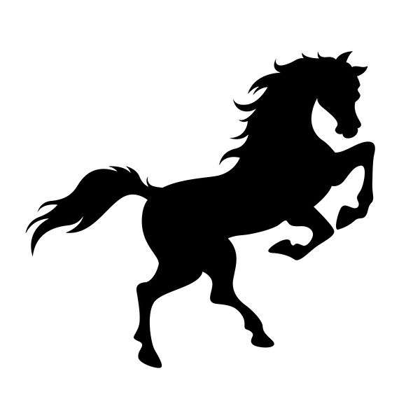 Reysa Tasarım Arma Sticker