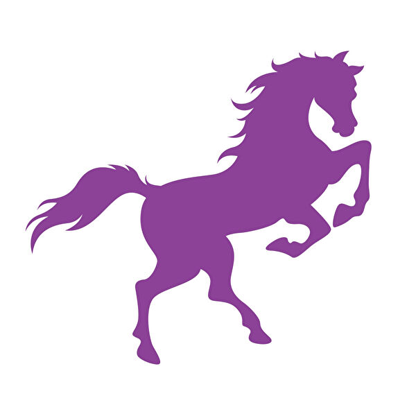 Reysa Tasarım Arma Sticker