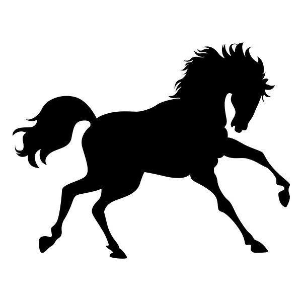 Reysa Tasarım Arma Sticker