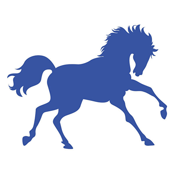 Reysa Tasarım Arma Sticker