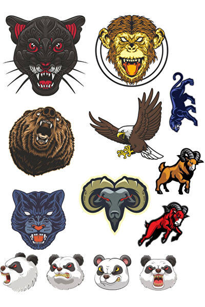 Reysa Tasarım Etiket, Sticker