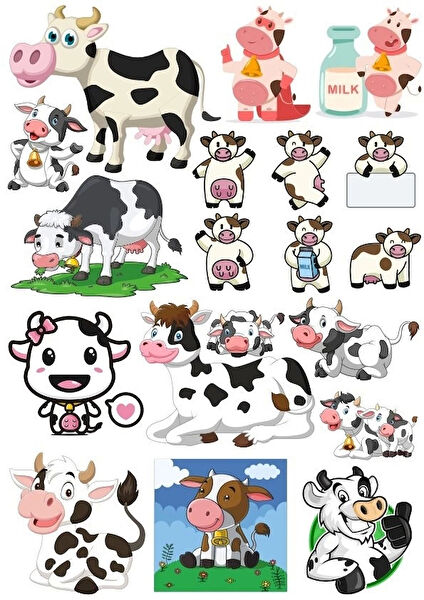 Reysa Tasarım Etiket, Sticker