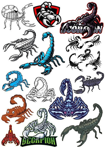 Reysa Tasarım Etiket, Sticker