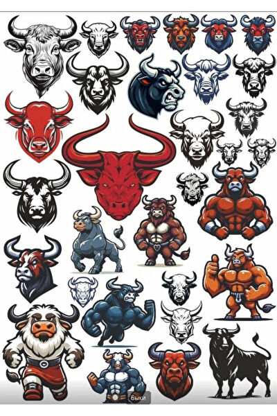 Reysa Tasarım Etiket, Sticker