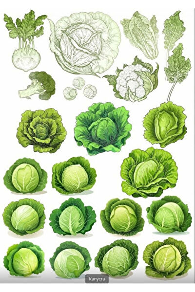 Reysa Tasarım Etiket, Sticker