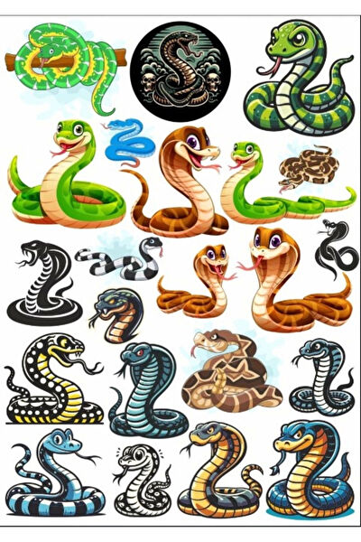 Reysa Tasarım Etiket, Sticker