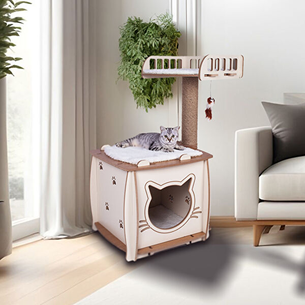 Patihomes Kedi Tırmalama